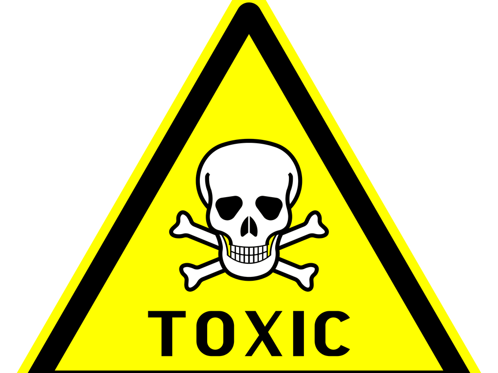 The Dangers of Using Rodent Poison